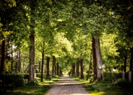 Ontdek waarom het belangrijk is om na een overlijden snel een verklaring van erfrecht aan te vragen om problemen met het Kadaster en hypotheken te voorkomen. Maak een afspraak voor meer informatie.