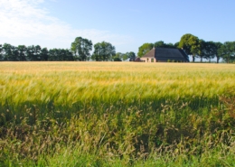 Ontdek hoe een meerwaardeclausule in de leveringsakte van een nieuwbouwwoning wordt toegepast en welke strikte regels en vereisten hieraan verbonden zijn. Bel ons voor deskundig advies.