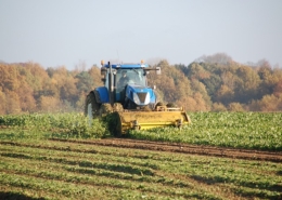 Voorkom nietigheid: Cruciaal belang van correcte vormgeving bij overnemingsbeding