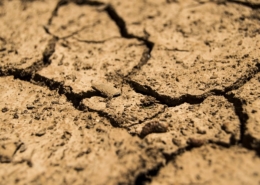 Ontdek waarom een koper van speculatieve landbouwgrond geen boete hoeft te betalen na afzien van de koop. Leer over misleidende handelspraktijken, vernietiging van koopovereenkomsten en uw rechten als consument.
